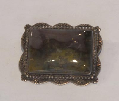 Petrified Wood Pin