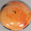Large Open Bowl w/ Sikyatki Design by Nyla Sahmie, 2025 Image 4