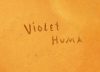 Hopi Polychrome Bowl, Violet Huma Image 2
