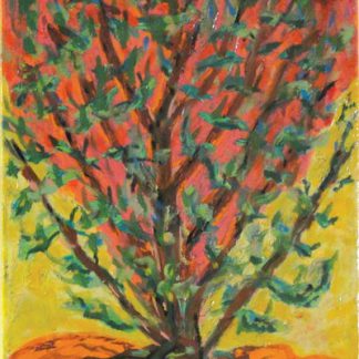Sunset Tree
