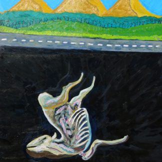 Death on 285