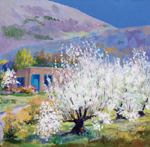 Western Art & Vintage Photographs